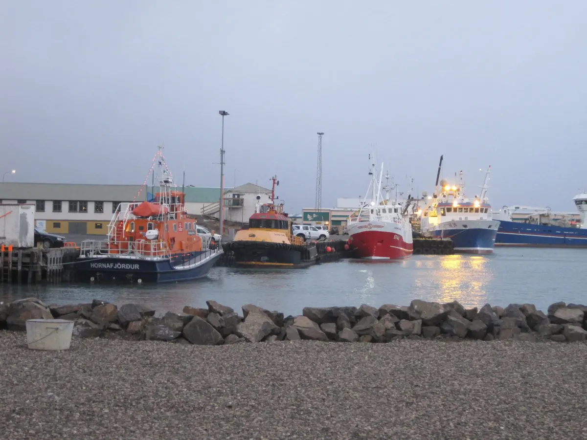 Barcos pesqueros amarrados en el puerto de Höfn, Islandia