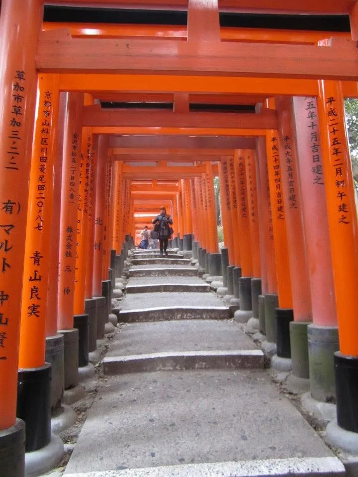 Escalinata bajo los torii rojos de Fushimi Inari en Kioto